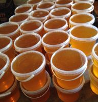 Bulk Raw Honey Supplier