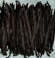 Madagascar vanilla beans bulk