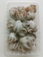 Frozen Baby Octopus (Whole Cleaned
