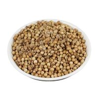 Coriander Seeds Wholesale high quality pure seeds split