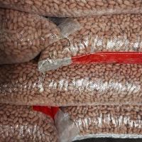 Raw Peanuts for wholesale supply