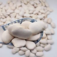 White butter beans for wholesale and bulk purchase