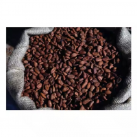 Raw Cocoa Beans | Bulk Supply For