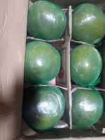Fresh Pomelo | Bulk Supply For Export