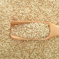 White Quinoa Bulk Supply for Food and Health Products
