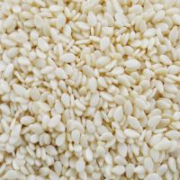 High Quality Sesame Seed Available for Sale