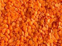 Red Lentils Split