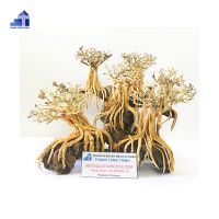 Large aquarium bonsai driftwood for Wholesale