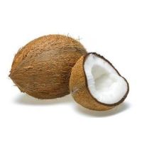 Semi husk coconut