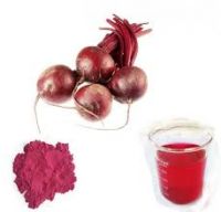 red beetroot extract