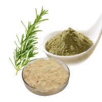 rosemary extract