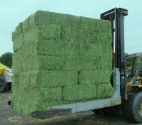 Alfalfa Hay Animal Feeding Stuff Alfalfa, hay/alfalfa hay pellets Timothy Hay