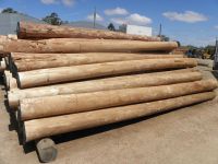 Eucalyptus Wood Logs