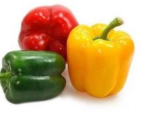 Bell Pepper/Sweet Pepper/Fresh Cherry