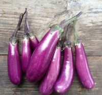 Fresh Eggplant 