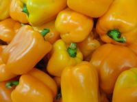 Fresh Yellow Capsicum 