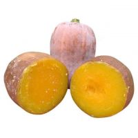 Fresh Pumpkin