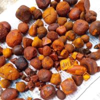 Cattle Gallstones, Ox Gallstones