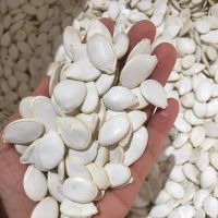 Snow White Pumpkin Seeds