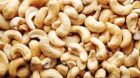 Cashew Nuts