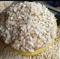 Melon seed