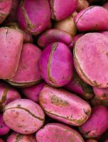 Kola nut, Bitter Kola