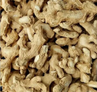 Dried Ginger
