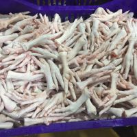 grade AA FROZEN WHOLE CHICKEN AND CHICKEN FEET/PAWS/WINGS