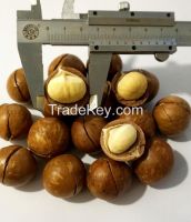 Raw Macadamia Nuts