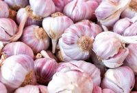 Garlic, Welsh onion, Chinese onion