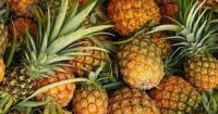 Fresh Fruits , Tropical Fruits , Pineapples , Candlenuts , Megnuts , Ginger , Sugar Palm Fruits