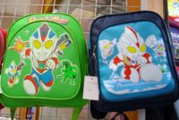 children&#039; school bag, pupil bag, boy&#039;s school bag