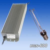 HPS Electronic Ballast(600W