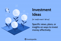 investor/partner 