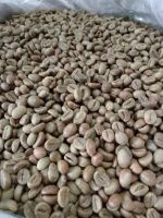 GREEN COFFEE BEANS - ARABICA AA & ROBUSTA COFFEE BEANS - SCREAN 16-18 - KENYA PREMIUM COFFEE