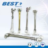 Transparent Clear Resin Femoral &amp