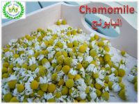 chamomile for import and export