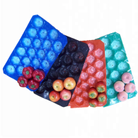 Protective PP Fruit Tray Liner Plastic