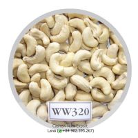 Cashew Nuts WW320 WW240 Origin Vietnam 