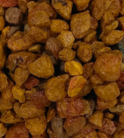 Decorative ground cover 'Flame'