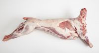 HALAL FROZEN LAMB WHOLE / GOAT MEAT / SHEEP / BONELESS GOAT / MUTTON