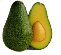 Sell Avocado