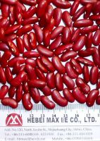 Sell Dark Red Kidney Beans