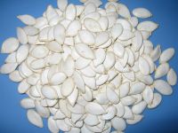 Sell Snow White Pumpkin Seeds