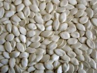 Sell Snow White Pumpkin Seeds