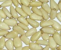 Sell Pine Nut Kernels
