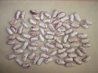 Sell Light Speckled Kidney Beans And