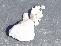 Sell Gypsum Rock,Gypsum Powder,Mineral