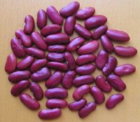 Sell Dark Red Kidney Beans