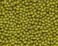 Sell Green Mung Beans